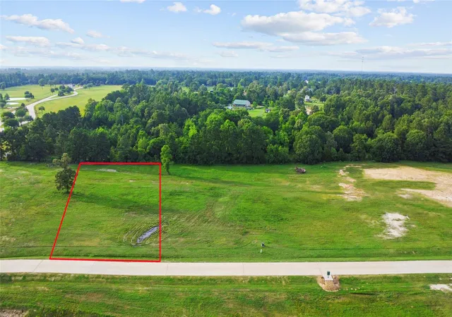 1st image of 2407 Emerie Arbor Ln, Hockley, TX 77447 | MLS# 55146878