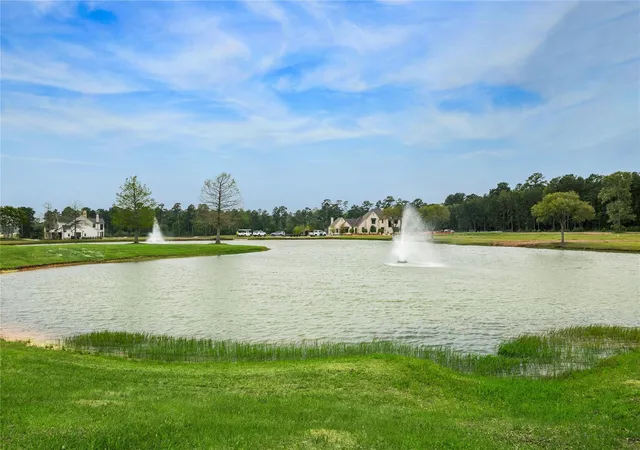 22nd image of 2407 Emerie Arbor Ln, Hockley, TX 77447 | MLS# 55146878