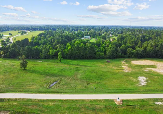 2nd image of 2407 Emerie Arbor Ln, Hockley, TX 77447 | MLS# 55146878