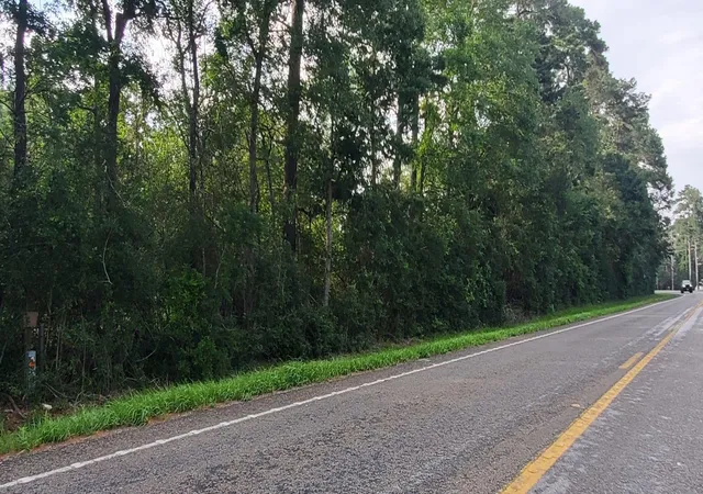 3rd image of 15291 Bart Lake Rd, Conroe, TX 77303 | MLS# 66475893
