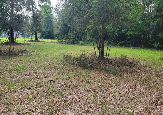5th image of 15291 Bart Lake Rd, Conroe, TX 77303 | MLS# 66475893
