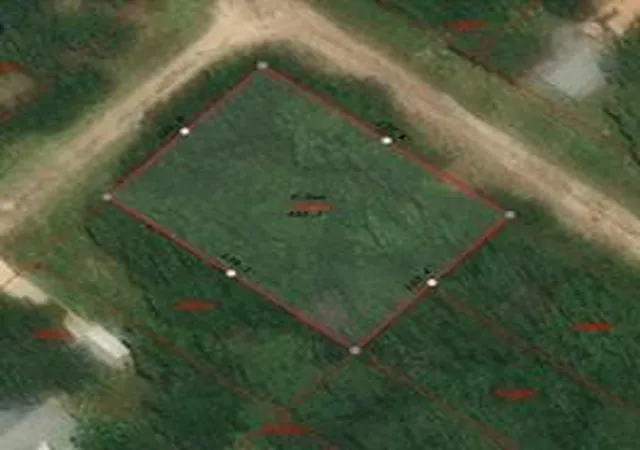 Photo 3 of Sale Pending at 213 Neibel Dr, Livingston, TX 77351 | MLS# 31620293 | Listing updated on 2026-09-21
