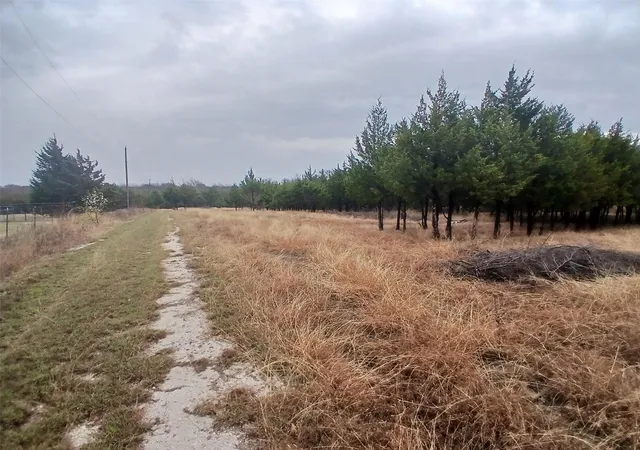 5th image of 11193 Dakota Trail, Princeton, TX 75407 | MLS# 53745101