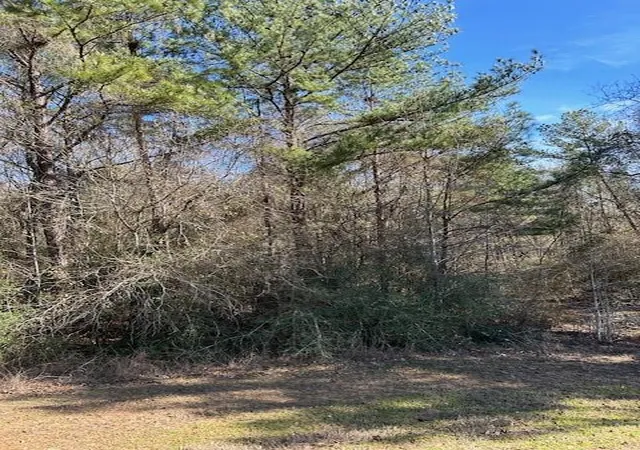 2nd image of 17763 Appaloosa Dr, Waller, TX 77484 | MLS# 16204698