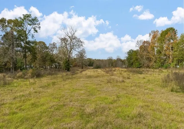 Photo 1 of Land for sale at 0 Minglewood Rd, Liberty, TX 77575 | MLS# 79110082 | Listing updated on 2026-08-12