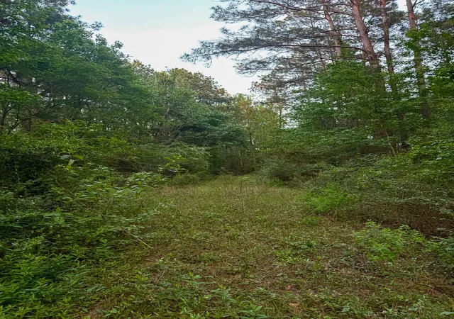1st image of 1 Sh 75 South, Huntsville, TX 77340 | MLS# 32876578