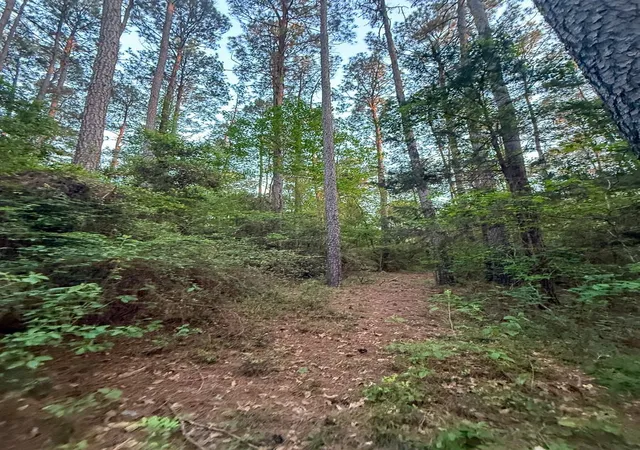 3rd image of 1 Sh 75 South, Huntsville, TX 77340 | MLS# 32876578