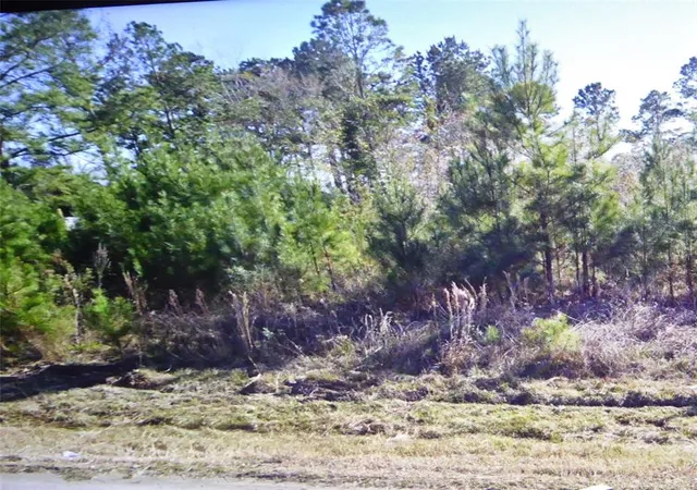 Photo 1 of Land for sale at 50 County Road 3479a, Cleveland, TX 77327 | MLS# 12621979 | Listing updated on 2026-04-08