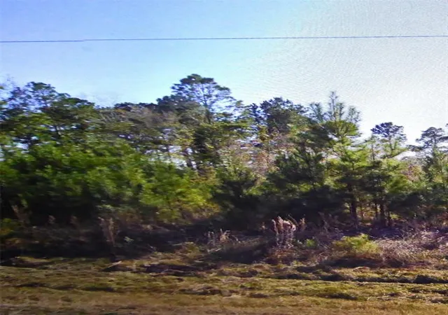 Photo 2 of Land for sale at 50 County Road 3479a, Cleveland, TX 77327 | MLS# 12621979 | Listing updated on 2026-04-08