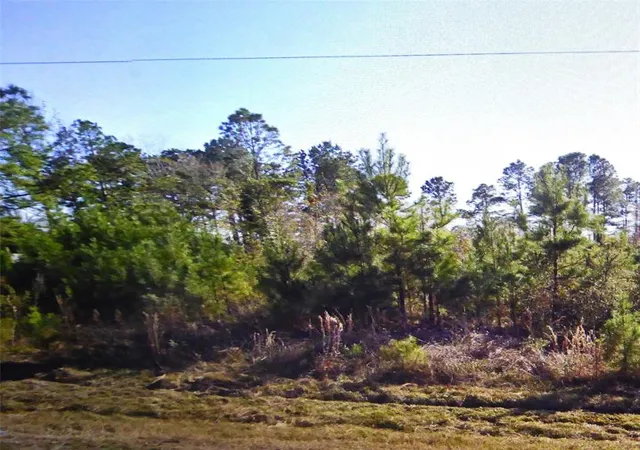Photo 3 of Land for sale at 50 County Road 3479a, Cleveland, TX 77327 | MLS# 12621979 | Listing updated on 2026-04-08