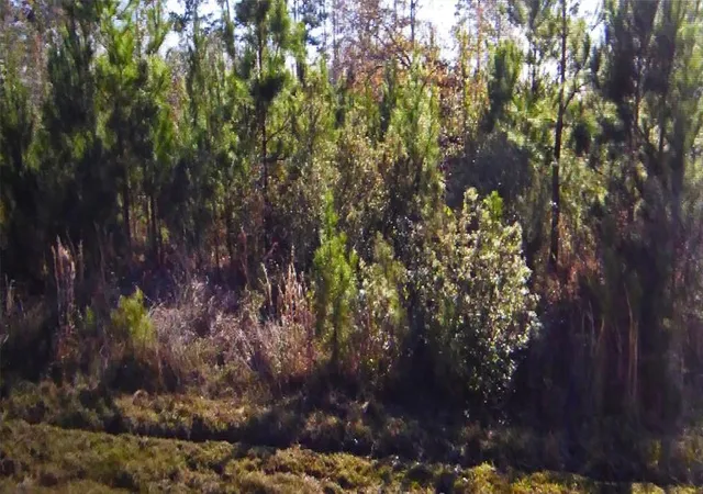 Photo 3 of Land for sale at 50 County Road 3479A, Cleveland, TX 77327 | MLS# 12621979 | Listing updated on 2026-04-08