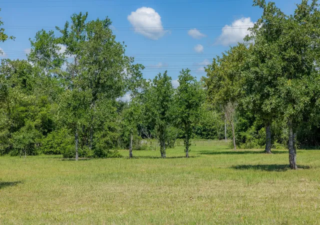Homes for sale in Bedias, TX | 6757 Atakapan Trail, Bedias, TX 77831 | MLS# 35198905