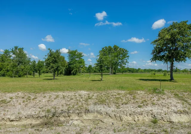 Homes for sale in Bedias, TX | 6757 Atakapan Trail, Bedias, TX 77831 | MLS# 35198905