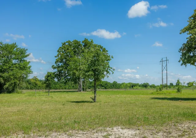 Homes for sale in Bedias, TX | 6757 Atakapan Trail, Bedias, TX 77831 | MLS# 35198905