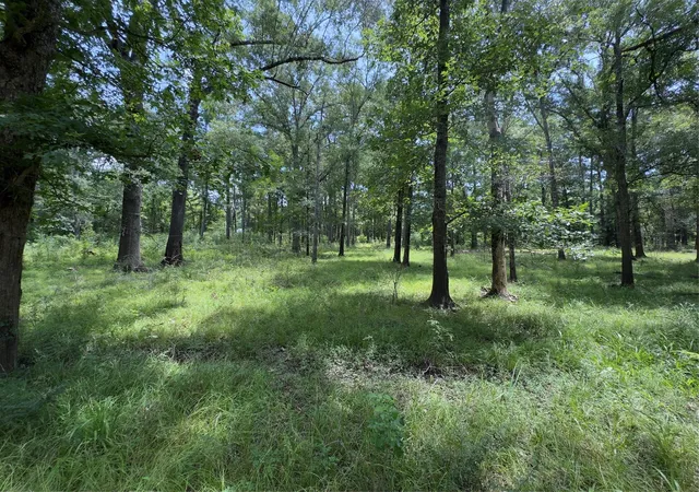 Photo 3 of Single family home for sale at 947 County Rd 2850, Cleveland, TX 77327 | MLS# 7837252 | Listing updated on 2026-08-07