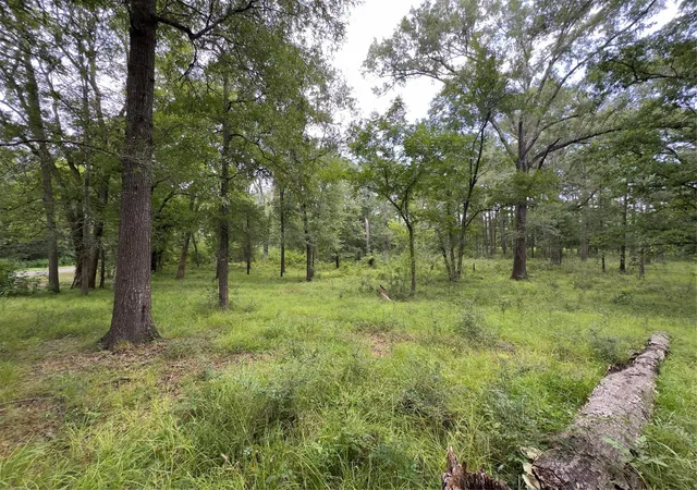 Photo 4 of Single family home for sale at 947 County Rd 2850, Cleveland, TX 77327 | MLS# 7837252 | Listing updated on 2026-08-07
