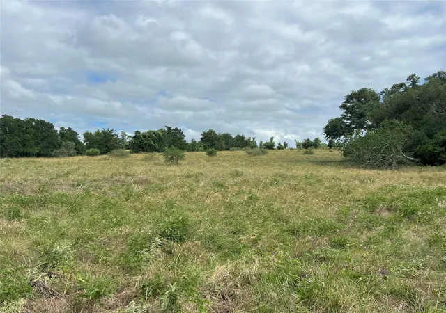 Homes for sale in Schulenburg, TX | 0000 Langdon Road And Fm 1579, Schulenburg, TX 78956 | MLS# 73506297