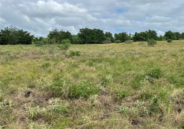Homes for sale in Schulenburg, TX | 0000 Langdon Road And Fm 1579, Schulenburg, TX 78956 | MLS# 73506297