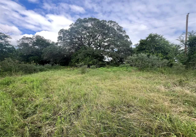 Homes for sale in Schulenburg, TX | 0000 Langdon Road And Fm 1579, Schulenburg, TX 78956 | MLS# 73506297