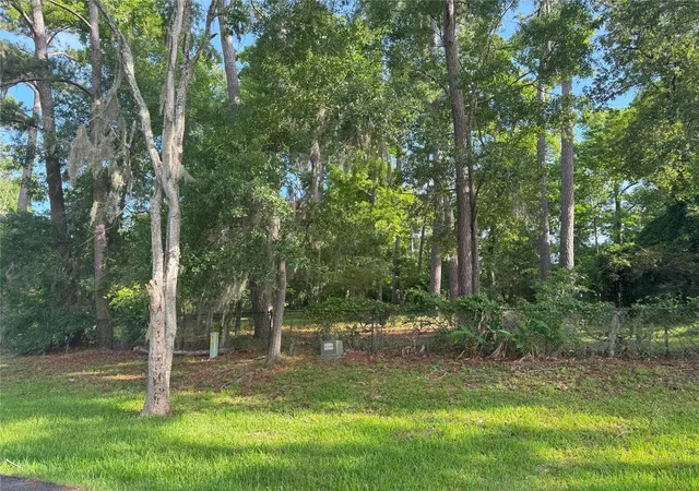 Photo 4 of Land for sale at Tbd Lakeshore /black Walnut Dr, Coldspring, TX 77331 | MLS# 18080868 | Listing updated on 2026-06-17