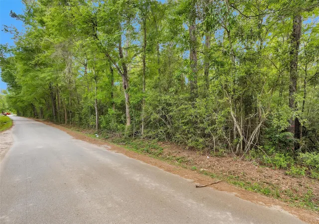 Photo 3 of Land for sale at 15672 Ben Wiggins, Conroe, TX 77303 | MLS# 61473595 | Listing updated on 2026-04-10