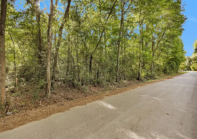 Photo 3 of Land for sale at 15672 Ben Wiggins, Conroe, TX 77303 | MLS# 61473595 | Listing updated on 2026-04-10