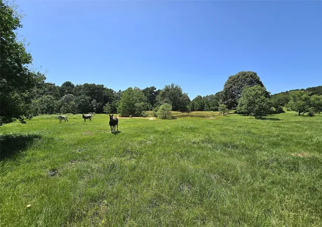 Photo 2 of Land for sale at 740 Ole Miss, Livingston, TX 77351 | MLS# 13332689 | Listing updated on 2026-08-26