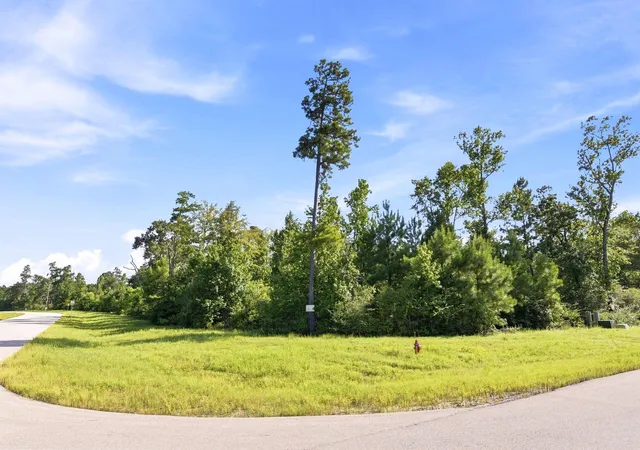 Photo 2 of Land for sale at 300 Iron Horse Rd, Willis, TX 77378 | MLS# 36965035 | Listing updated on 2026-08-07