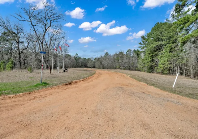 13th image of Tbd Hwy 190 Hwy, Point Blank, TX 77364 | MLS# 18408945