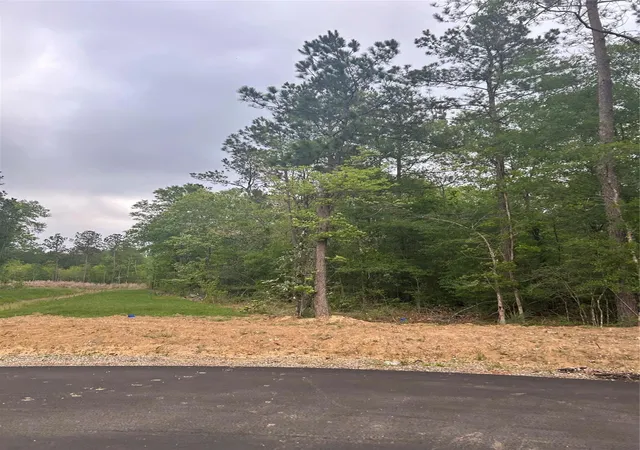 Photo 2 of Land for sale at 1138 County Road 6324, Dayton, TX 77535 | MLS# 87828387 | Listing updated on 2026-08-17