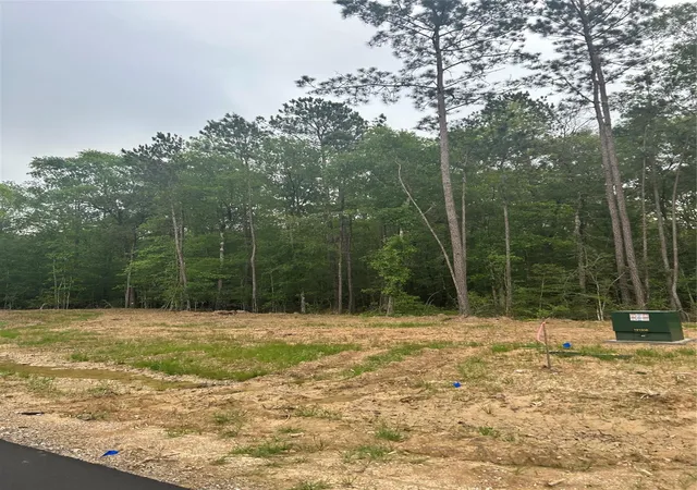 Photo 4 of Land for sale at 1138 County Road 6324, Dayton, TX 77535 | MLS# 87828387 | Listing updated on 2026-08-17