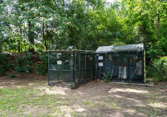 Photo 3 of Land for sale at 126 County Rd 3011, Dayton, TX 77535 | MLS# 85584880 | Listing updated on 2026-07-15