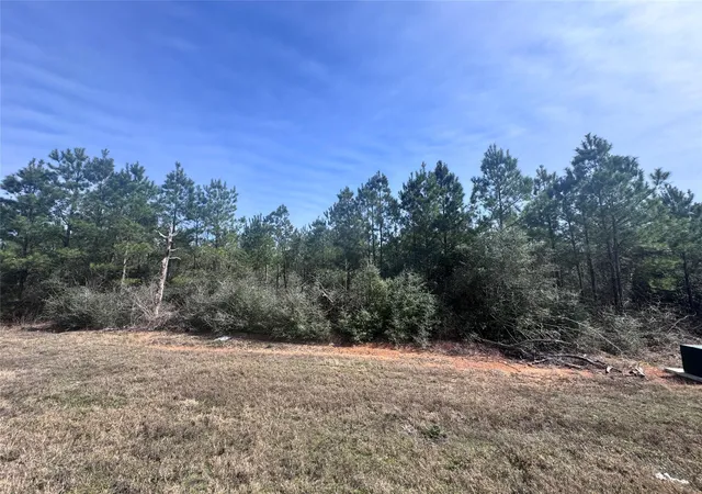 Photo 2 of Land for sale at 15584 Forest Grv Dr, Willis, TX 77378 | MLS# 68894531 | Listing updated on 2026-05-29