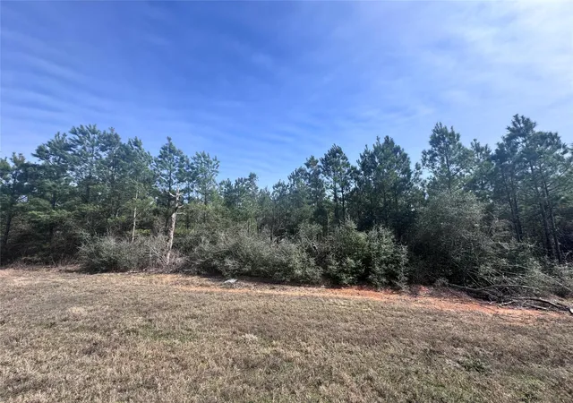 Photo 3 of Land for sale at 15584 Forest Grv Dr, Willis, TX 77378 | MLS# 68894531 | Listing updated on 2026-05-29