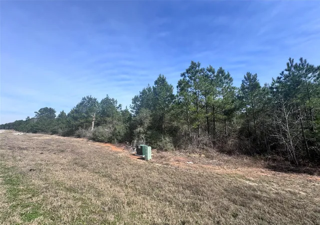 Photo 4 of Land for sale at 15584 Forest Grv Dr, Willis, TX 77378 | MLS# 68894531 | Listing updated on 2026-05-29