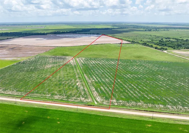 Photo 3 of Land for sale at 0 Cr 285, Lissie, TX 77454 | MLS# 70973858 | Listing updated on 2026-07-13