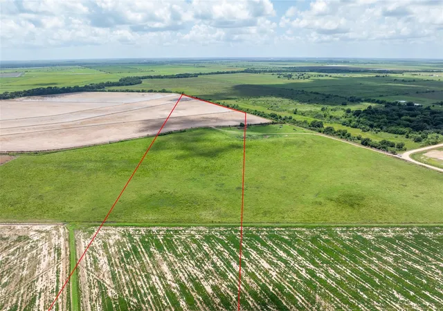 Photo 3 of Land for sale at 0 Cr 285, Lissie, TX 77454 | MLS# 70973858 | Listing updated on 2026-07-13