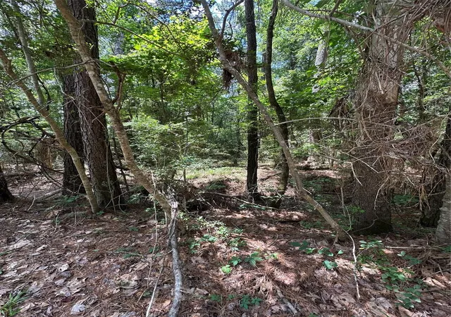 Photo 2 of Land for sale at 0 Royal Ests Dr, Conroe, TX 77303 | MLS# 38115595 | Listing updated on 2026-05-25