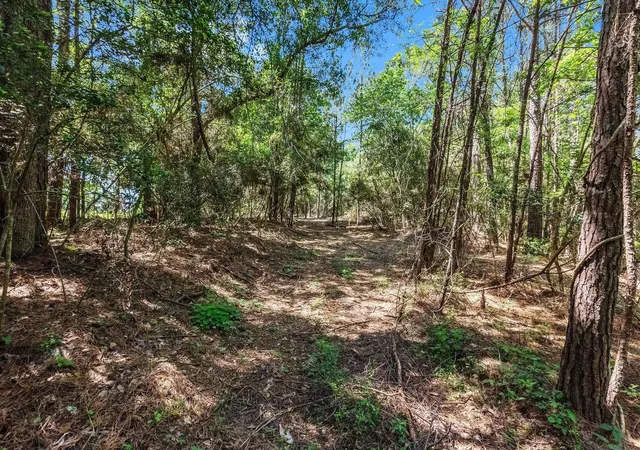 Photo 2 of Land for sale at 55 Paradise Dr, Coldspring, TX 77331 | MLS# 97117124 | Listing updated on 2026-06-30