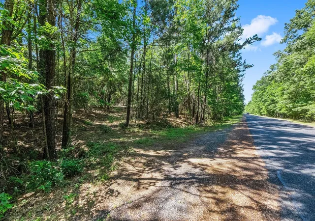 Photo 3 of Land for sale at 55 Paradise Dr, Coldspring, TX 77331 | MLS# 97117124 | Listing updated on 2026-06-30