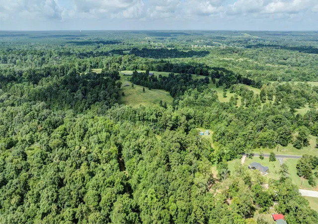 Photo 4 of Land for sale at 55 Paradise Dr, Coldspring, TX 77331 | MLS# 97117124 | Listing updated on 2026-06-30