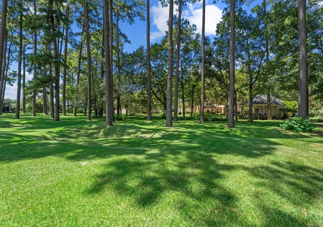 5th image of 18022 Country Hls, Tomball, TX 77377 | MLS# 38994573