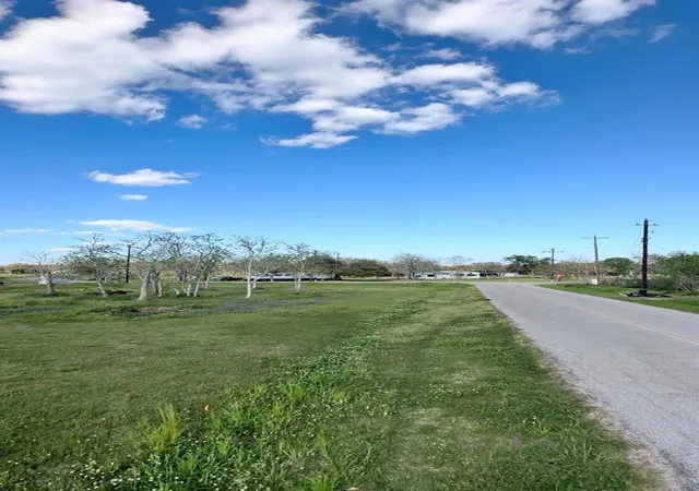 5th image of 0 County Road 203, Liverpool, TX 77577 | MLS# 57929924