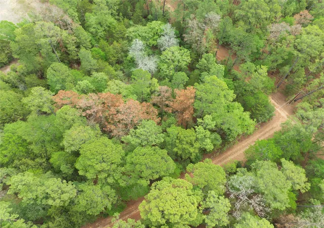 Photo 3 of Land for sale at Tbd Red Fox Rd, La Grange, TX 78945 | MLS# 9046197 | Listing updated on 2026-07-16