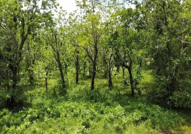 Photo 4 of Land for sale at 0 County Rd 36, Angleton, TX 77515 | MLS# 25582762 | Listing updated on 2026-06-04