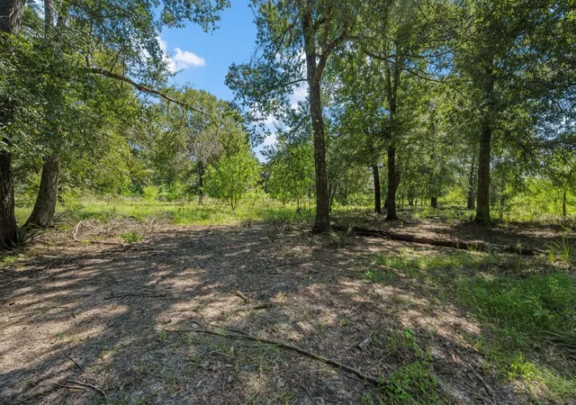 13th image of 26092 Deerbrook Dr, Splendora, TX 77372 | MLS# 80530313