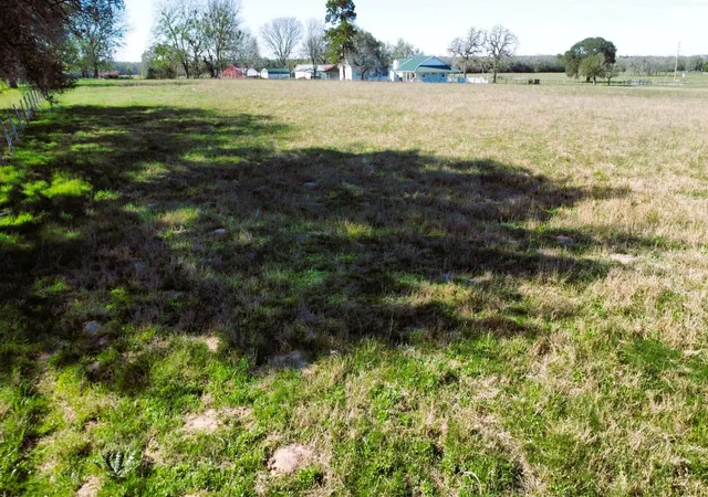 Homes for sale in Schulenburg, TX | Tbd1 Fm 957, Schulenburg, TX 78956 | MLS# 31921108