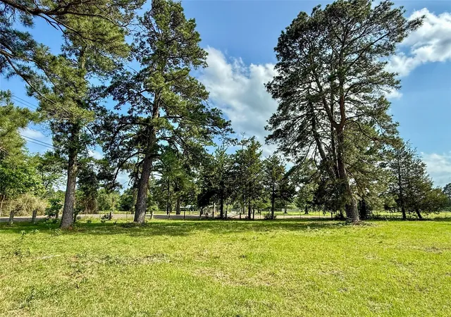 Homes for sale in Navasota, TX | Tbd Cr 410, Navasota, TX 77868 | MLS# 49590821