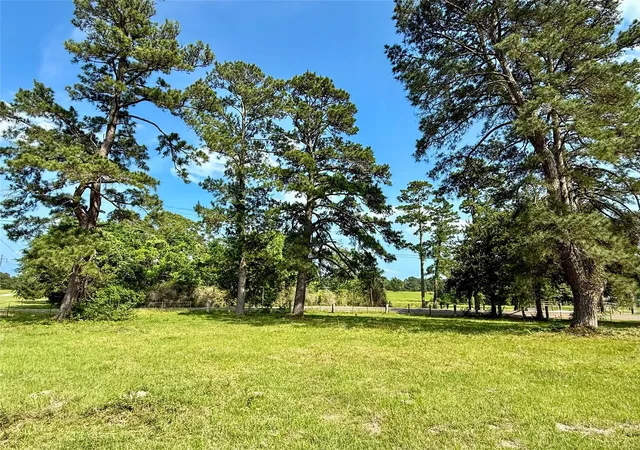 Homes for sale in Navasota, TX | Tbd Cr 410, Navasota, TX 77868 | MLS# 49590821