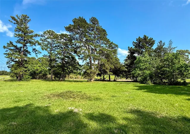 Homes for sale in Navasota, TX | Tbd Cr 410, Navasota, TX 77868 | MLS# 49590821